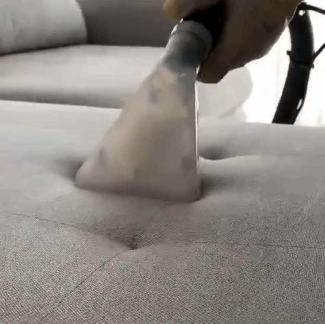 Trabalho de higienização 1