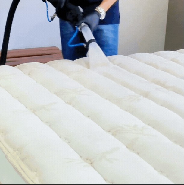 Trabalho de higienização 4